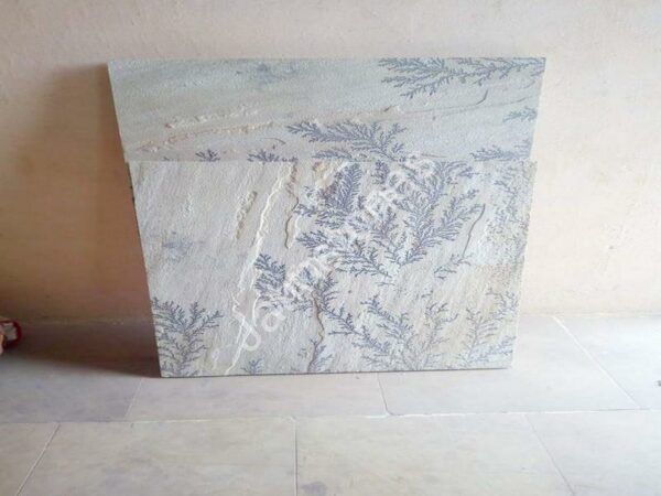 Mint Fossil Sand Stone - Image 3