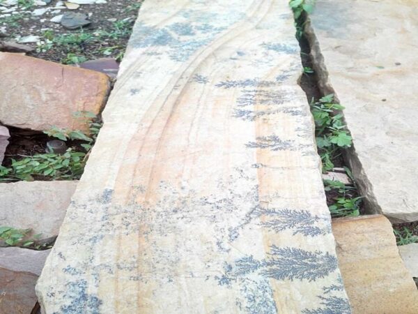 Mint Fossil Sand Stone - Image 5