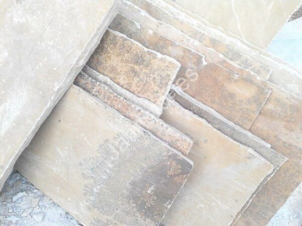 Mint Fossil Sand Stone - Image 6