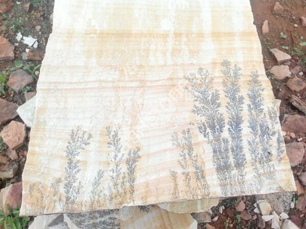 Mint Fossil Sand Stone - Image 7