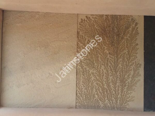 Mint Fossil Sand Stone - Image 8