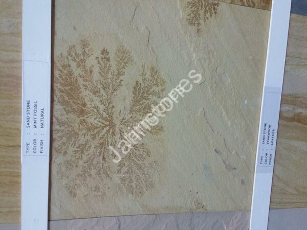 Mint Fossil Sand Stone - Image 13
