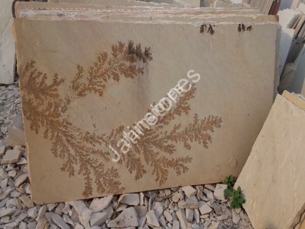 Mint Fossil Sand Stone - Image 14