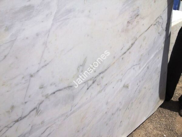 Andhi White - Image 6