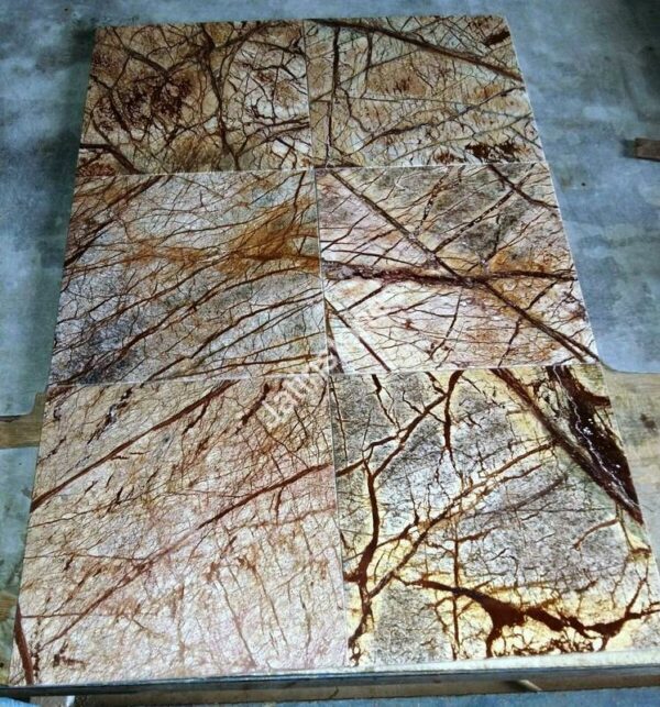 Rain Forest Brown - Image 2