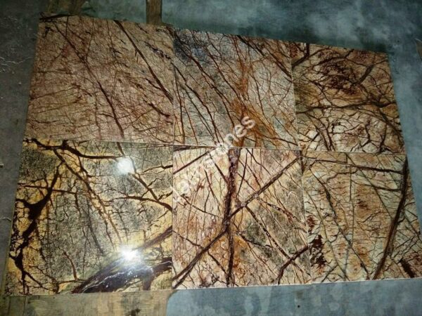 Rain Forest Brown - Image 3