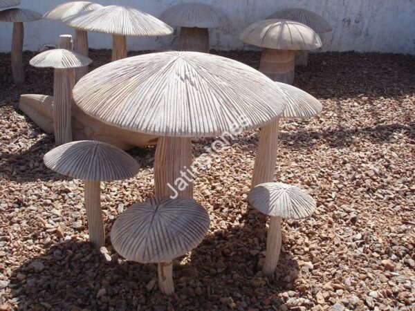 Stone Mushrooms - Image 5